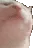 catJAM