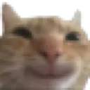 hehecat