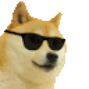cooldoge
