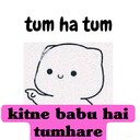 ss_kitne_babu_hai Discord emoji