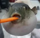 A_