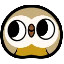 owl_eyes owl_eyes