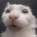eee