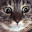 tweakYikes