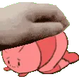 shrimp_touchhigh shrimp_touchhigh