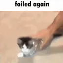 foiledagain