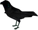 Crow Discord emoji