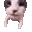 cat_35 cat_35