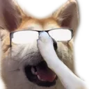 DEN_DogeSmart