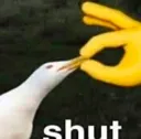 DEN_Shut DEN_Shut