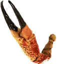 crabClawRight