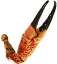 crabClawLeft