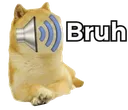 dogebruh