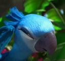 Jewel_Wince Discord emoji