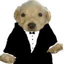 Perrofino Perrofino