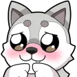 coraau1Please