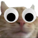 sillyplead