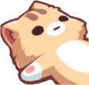 Gato_nada