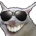 weshcool