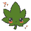weed1