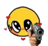 gun