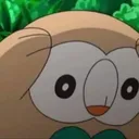 rowletpanik