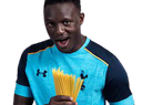Wanyama Discord emoji