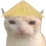 gatochino