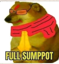 pe_fullsupport Discord emoji