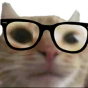stnerd