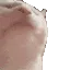 catJAM