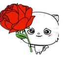 gg_love_rose