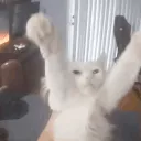 LeroyBarkelyDance