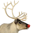 rudolph rudolph