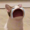 EN_meowcry Discord emoji