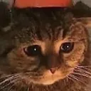 sadlyft