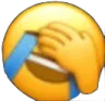 laughcry laughcry