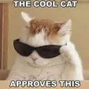 Coolcat coolcat Discord Emoji
