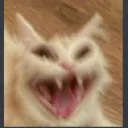 scream