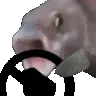 fushdrive
