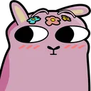 alpacaeyes