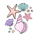 seashell