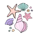 seashell