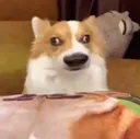 confused