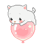 pinkpeekheartcat