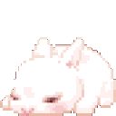 sxrabbit