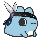 EulaCatStare EulaCatStare