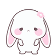 61bunnysigh