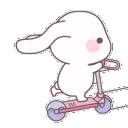 61bunnyride