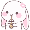 61bunnysip